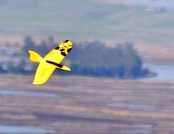 Hyper Flight Store -Hyper Flight Store mini q slope electric sports racer 81cm 14